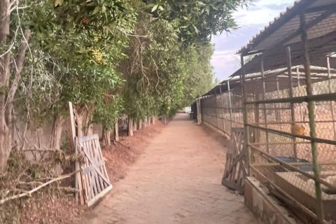 23226m² Land en Binh Duong, Vietnam No. 5971 11