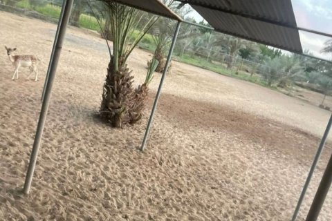 23226m² Land en Binh Duong, Vietnam No. 5971 12