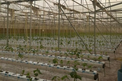 23226m² Land en Binh Duong, Vietnam No. 5971 3