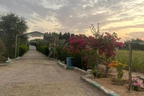 23226m² Land en Binh Duong, Vietnam No. 5971 24