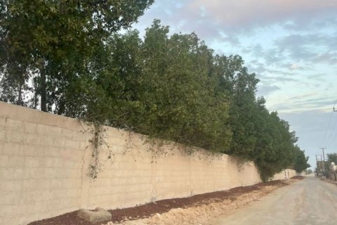 23226m² Land en Binh Duong, Vietnam No. 5971 27