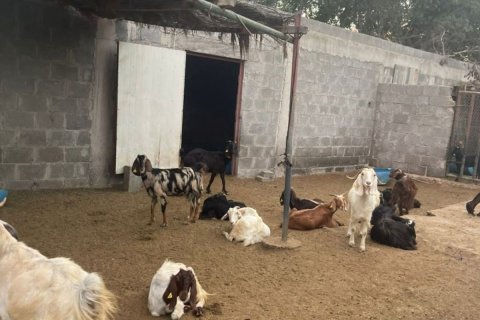 23226m² Land en Binh Duong, Vietnam No. 5971 15