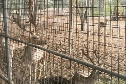 23226m² Land en Binh Duong, Vietnam No. 5971 17