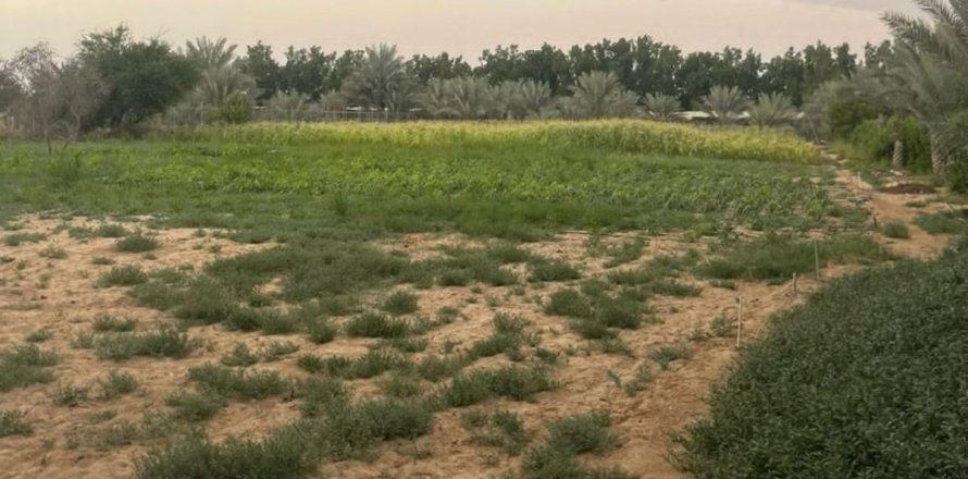 23226m² Land en Binh Duong, Vietnam No. 5971