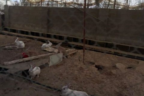 23226m² Land en Binh Duong, Vietnam No. 5971 14