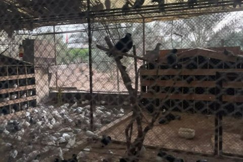 23226m² Land en Binh Duong, Vietnam No. 5971 13