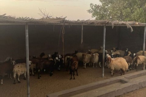 23226m² Land en Binh Duong, Vietnam No. 5971 16