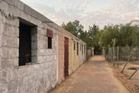 23226m² Land en Binh Duong, Vietnam No. 5971 18