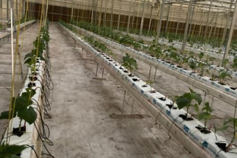 23226m² Land en Binh Duong, Vietnam No. 5971 4