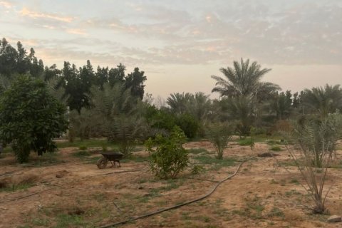 23226m² Land en Binh Duong, Vietnam No. 5971 9