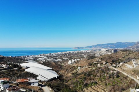 4 dormitorios Penthouse en Lien Chieu, Vietnam No. 13688 3