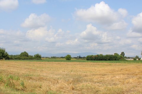 13750m² Land in Litochoro, Greece No. 107245