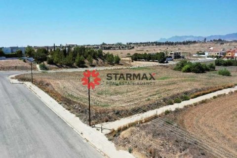 Commercial property à Lakatamia, Cyprus No. 82885 5