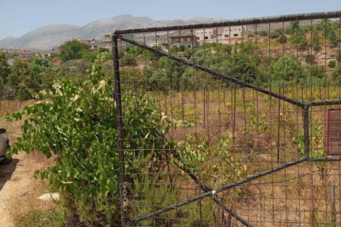 2 rooms House à Heraklion, Greece No. 55996 18