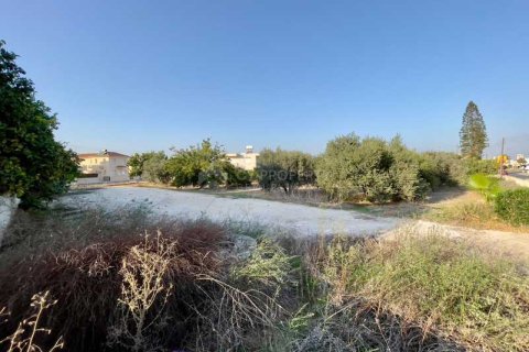 Дом с 4 спальнями в Ксилофагу, Кипр №30969 14