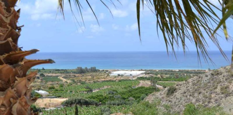 3 chambres Villa à Pegeia, Cyprus No. 69989