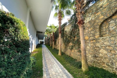 4 rooms Apartment in Lien Chieu, Vietnam No. 21366 19