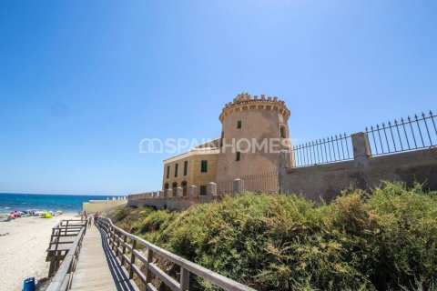 3 bedrooms Villa in Thuy Tay, Vietnam No. 26295 13