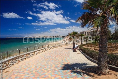 3 bedrooms Villa in Thuy Tay, Vietnam No. 26295 14