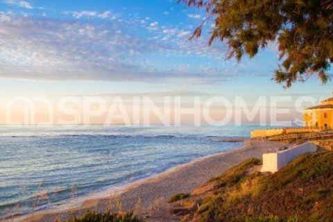 3 bedrooms Villa in Thuy Tay, Vietnam No. 26295 12