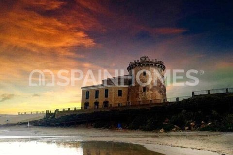 3 bedrooms Villa in Thuy Tay, Vietnam No. 26295 10