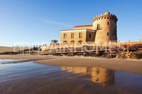 3 bedrooms Villa in Thuy Tay, Vietnam No. 26295 11