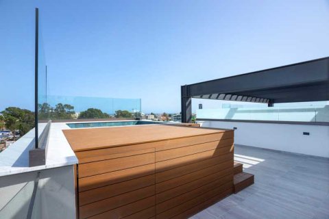 Пентхаус с 3 спальнями в Лимассол, Кипр №104252 11