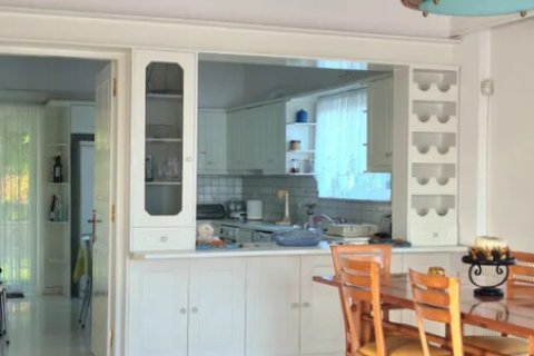 4 bedrooms Villa in Malesina, Greece No. 116885 10