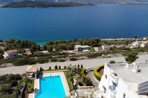 4 bedrooms Villa in Malesina, Greece No. 116885 2
