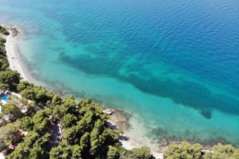 4 bedrooms Villa in Malesina, Greece No. 116885 24