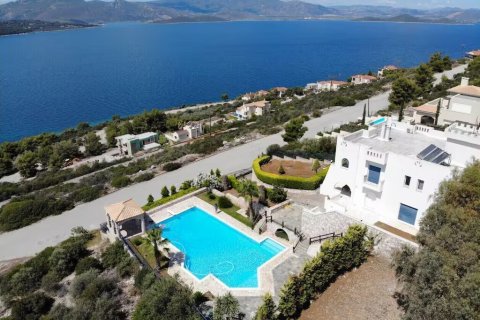 4 bedrooms Villa in Malesina, Greece No. 116885 1
