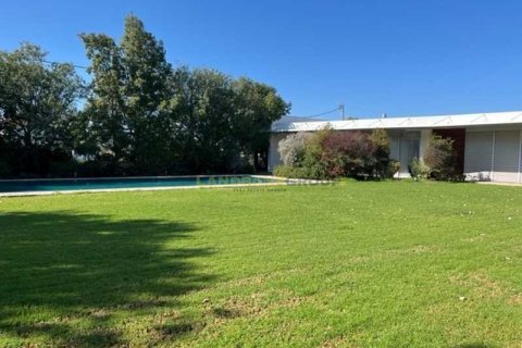 5 chambres Villa à Lakatamia, Cyprus No. 81345 13