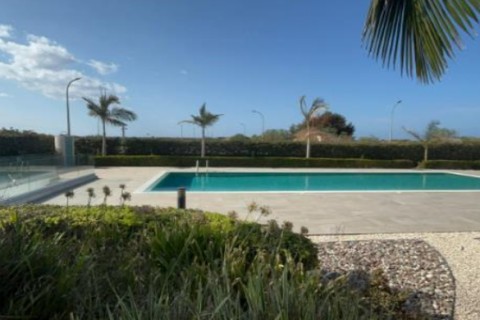 3 bedrooms House in Pegeia, Cyprus No. 78632 4