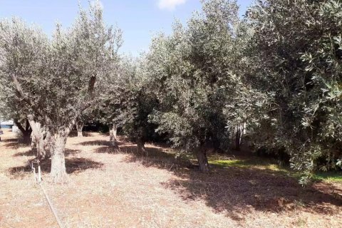 547m² Land in Vari, Greece No. 108638 5