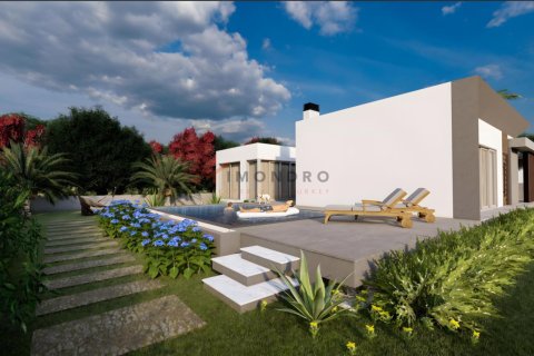 3 bedrooms Villa in Tan Thanh Binh, Vietnam No. 116895 1