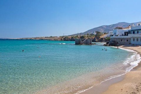 10000m² Land in Naxos, Greece No. 24480 3