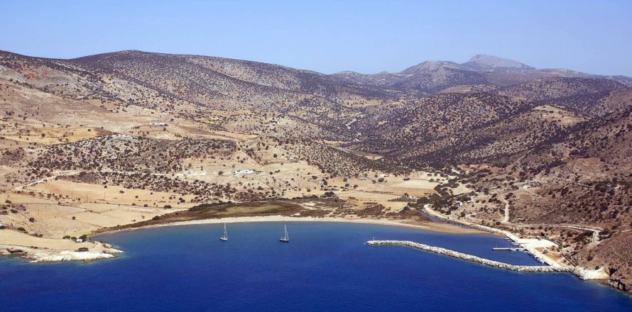 10000m² Land in Naxos, Greece No. 24480