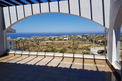 8 bedrooms Villa in Paphos, Cyprus No. 106100 13