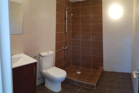 8 bedrooms Villa in Paphos, Cyprus No. 106100 9