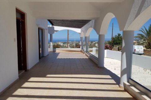 8 bedrooms Villa in Paphos, Cyprus No. 106100 15