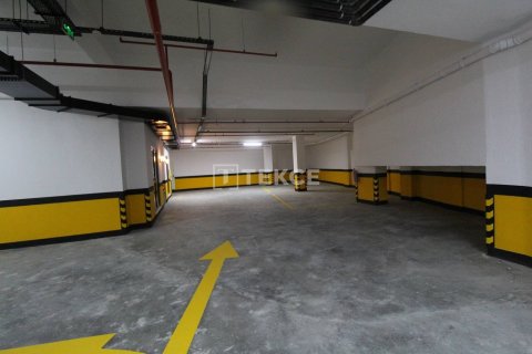 5 bedrooms Villa in An Thach Trung, Vietnam No. 11220 9