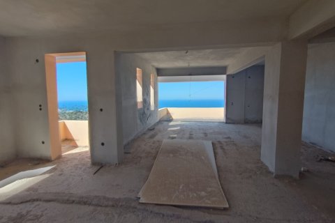 357m² House in Malia, Greece No. 109054 11