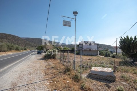 Здание с 7 спальнями в Магнисия, Греция №27982 8