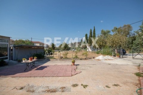 Здание с 7 спальнями в Магнисия, Греция №27982 14