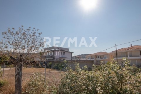 Здание с 7 спальнями в Магнисия, Греция №27982 9