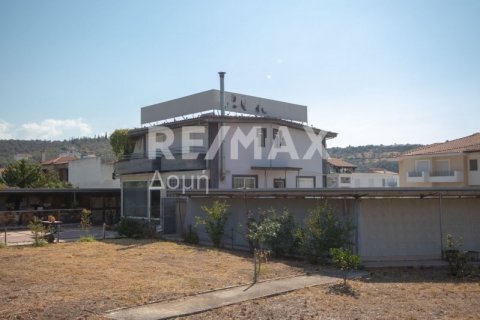 Здание с 7 спальнями в Магнисия, Греция №27982 3