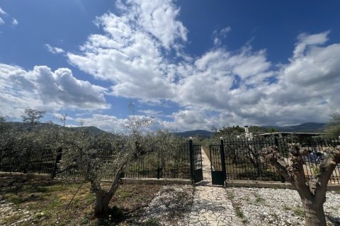 Вилла с 7 спальнями в Аркадия, Греция №108067 19