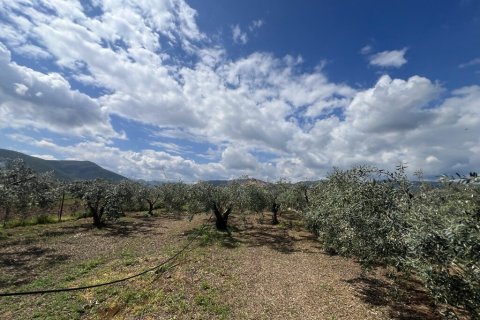 Вилла с 7 спальнями в Аркадия, Греция №108067 20