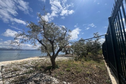 Вилла с 7 спальнями в Аркадия, Греция №108067 16