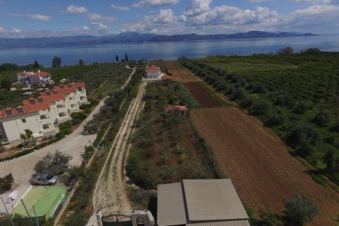 Вилла с 7 спальнями в Аркадия, Греция №108067 9